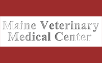 Me-Vet-golden-for-web