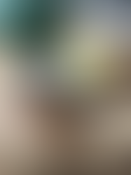 Pecan Kaneel Dadel Dip