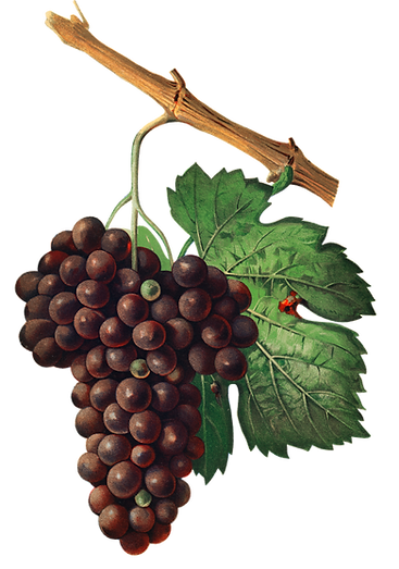 PNG File (272) 2_edited_edited.png