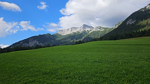 20230902_162242.jpg