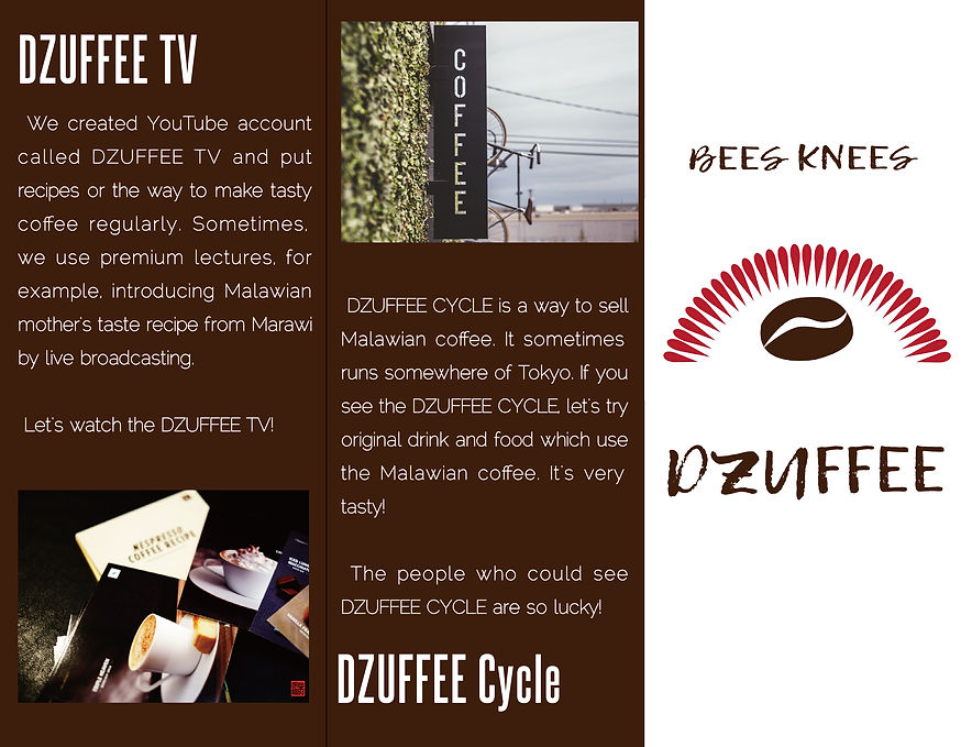 Brochure steelfish1.jpg