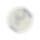 Bride_07.png