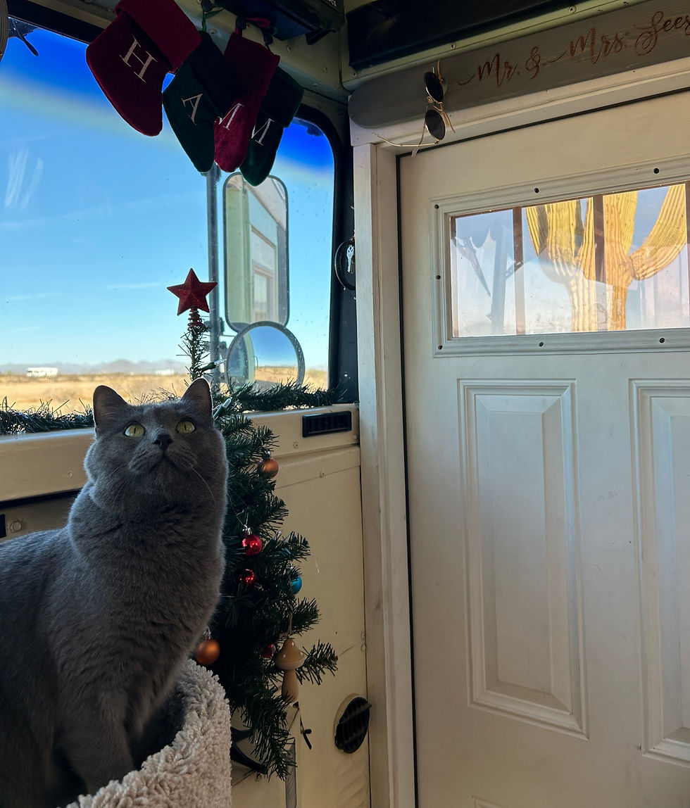 Roaming for the Holidays: How to Infuse Festivity into Nomadic Living