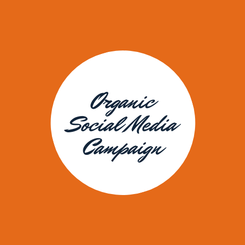 Organic Social Media Campaign