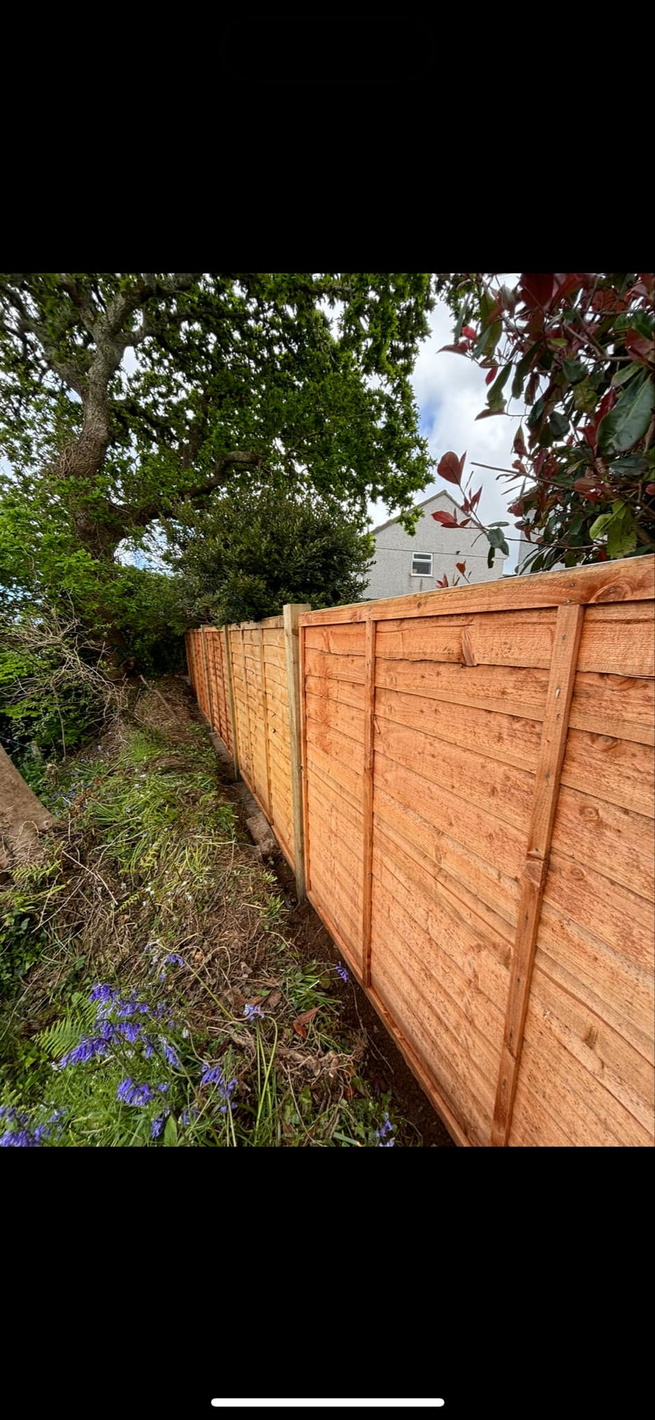 b86860fc-ef41-4ad5-ba01-3335f47ccf5d