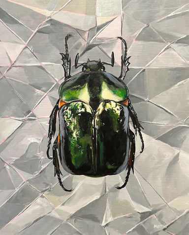 Beetle Bug Entomology Fine Art Contemporary Realism Wildlife Art