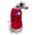 dog.png