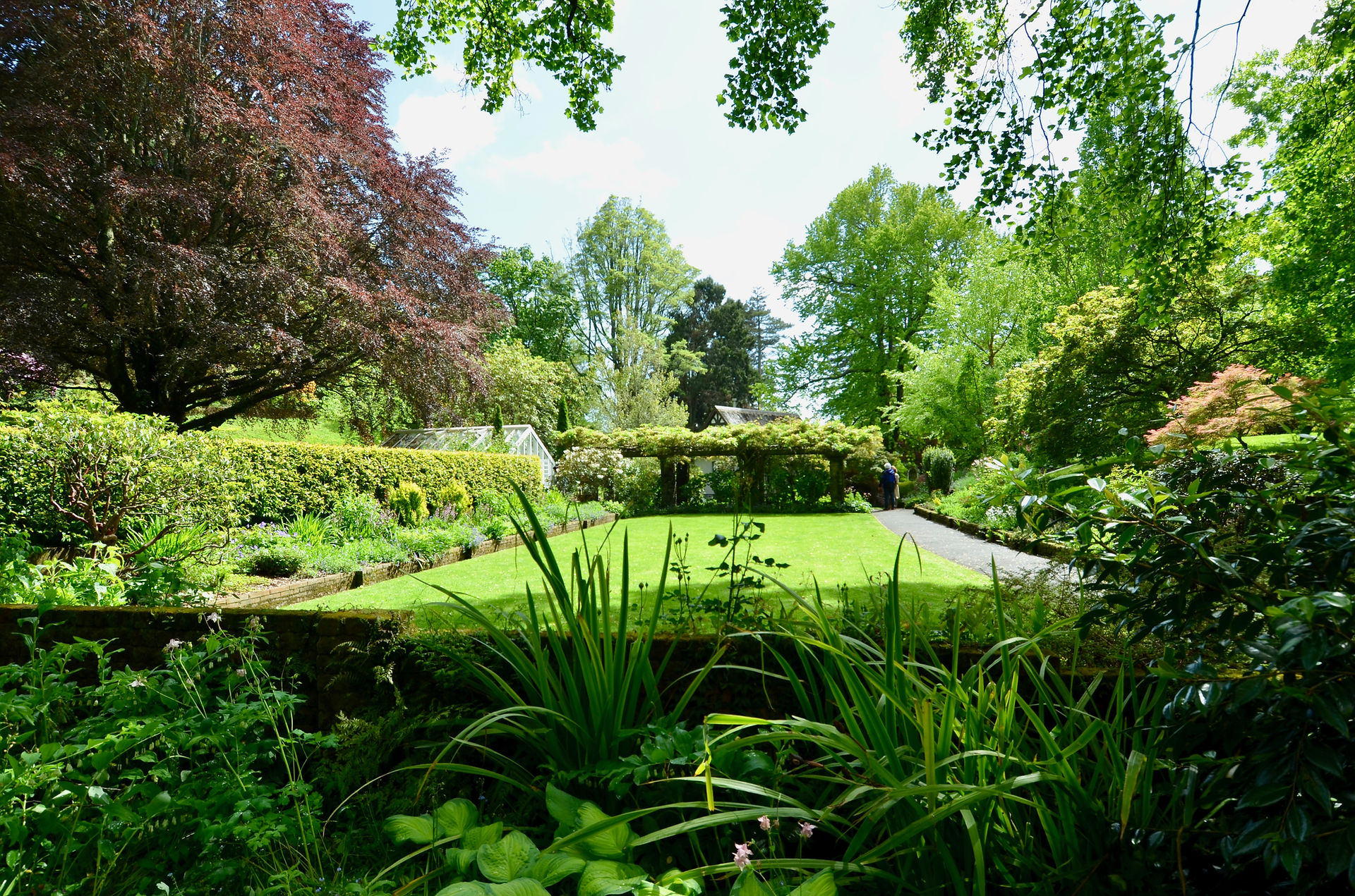 A beautifully framed view