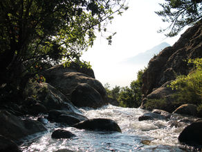 Study finds plastic is changing the behaviour of the world’s river sediment