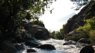 Scripture Reflection - June 9, 2024