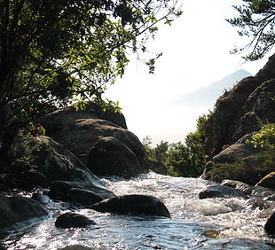 Mountain Stream Scene