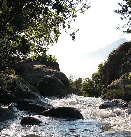 Scène de ruisseau de montagne
