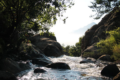 Rio del Yunque