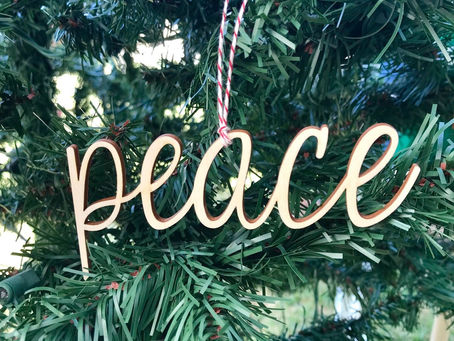 “What Kind of Peace do You Want?”