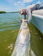 Image 4-21-22 at 8.44 PM.JPG