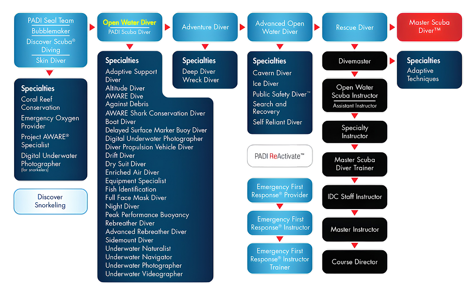 PADI Chart