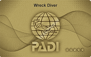 wreckdiver.png