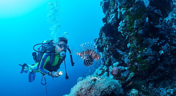 lion-fish-and-scuba-diver-in-red-sea-marsa-alam-2026-03-18-17-34-33-utc.jpg