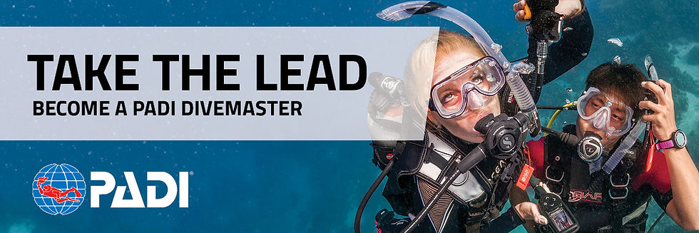 PADI Divemaster Course