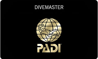 PADI-DIVEMASTER-COURSE-MELBOURNE-scaled_edited.jpg