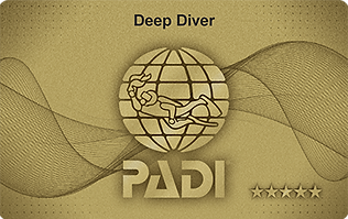 deepdiver.png