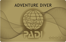 adv_Gold (1).png