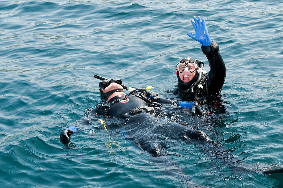 PADI Rescue Diver