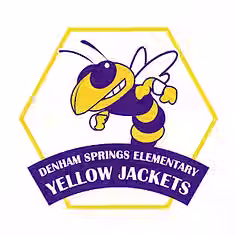 YellowJacketPFP.avif