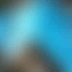 Ontario roofing crew installing blue GAF underlayment on a residential roof in Mississauga, preparing the home for a full shingle replacement as part of Rain Safe Roofing’s professional installation services.