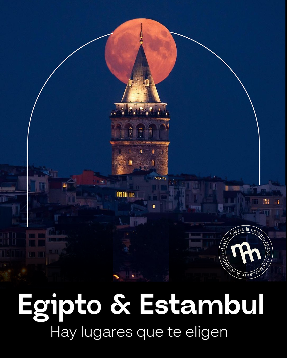 Close-up of Whisked Matcha’s green takeaway cup with playful illustration and bold brand typography — a packaging design project by 365 Socials for a premium matcha brand.