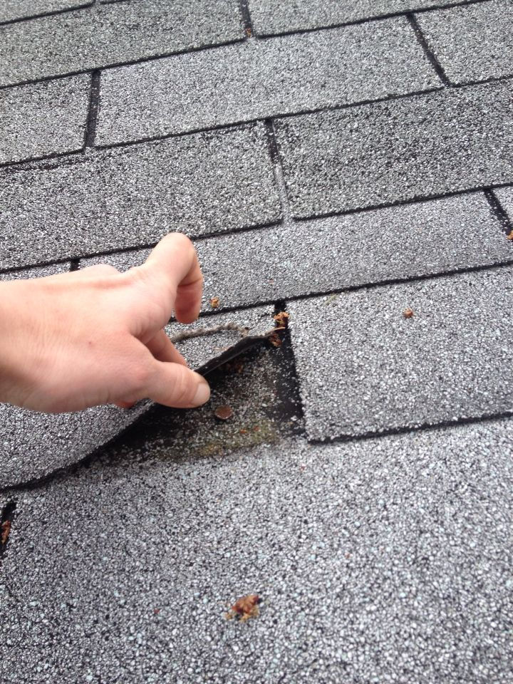 Close-up of a roofer lifting damaged asphalt shingles during a professional roof inspection and tear-off process, showing worn roofing materials before replacement on a home in Mississauga, Oakville, Milton, Etobicoke, or the GTA.