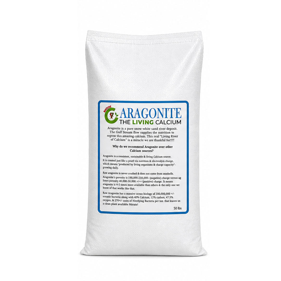 Aragonite