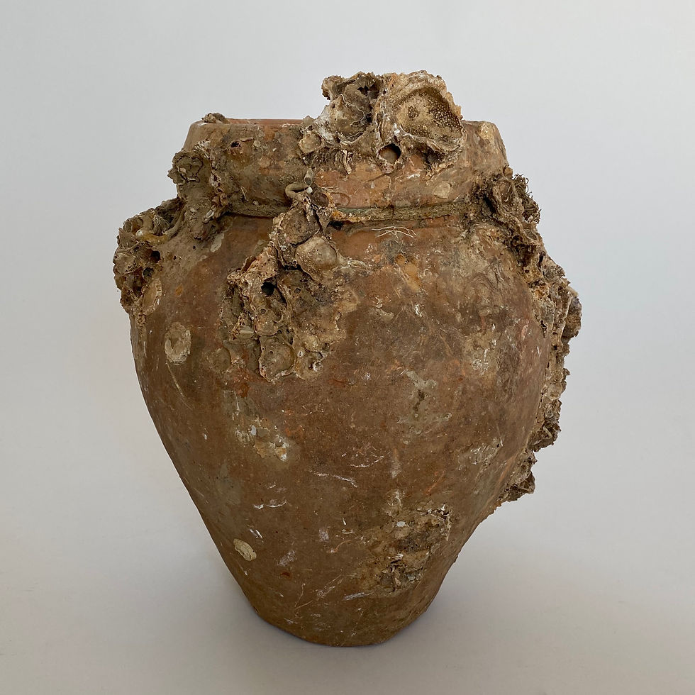 Thumbnail: Antique terracotta octopus pot naturally encrusted with sea shells