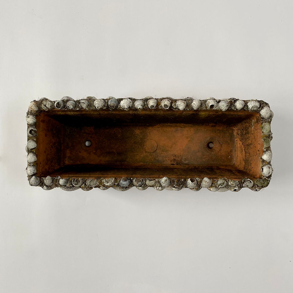 Thumbnail: French Terracotta Shell Jardiniere Planter