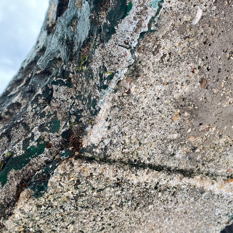 Thumbnail: Vintage French art brut life-sized concrete crocodile with worn old green paint