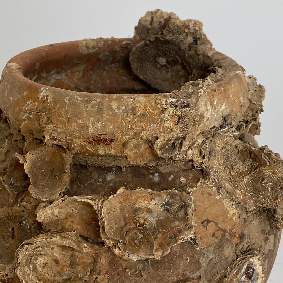 Antique terracotta octopus pot naturally encrusted with sea shells