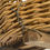 Thumbnail: French Wicker Harvest Basket