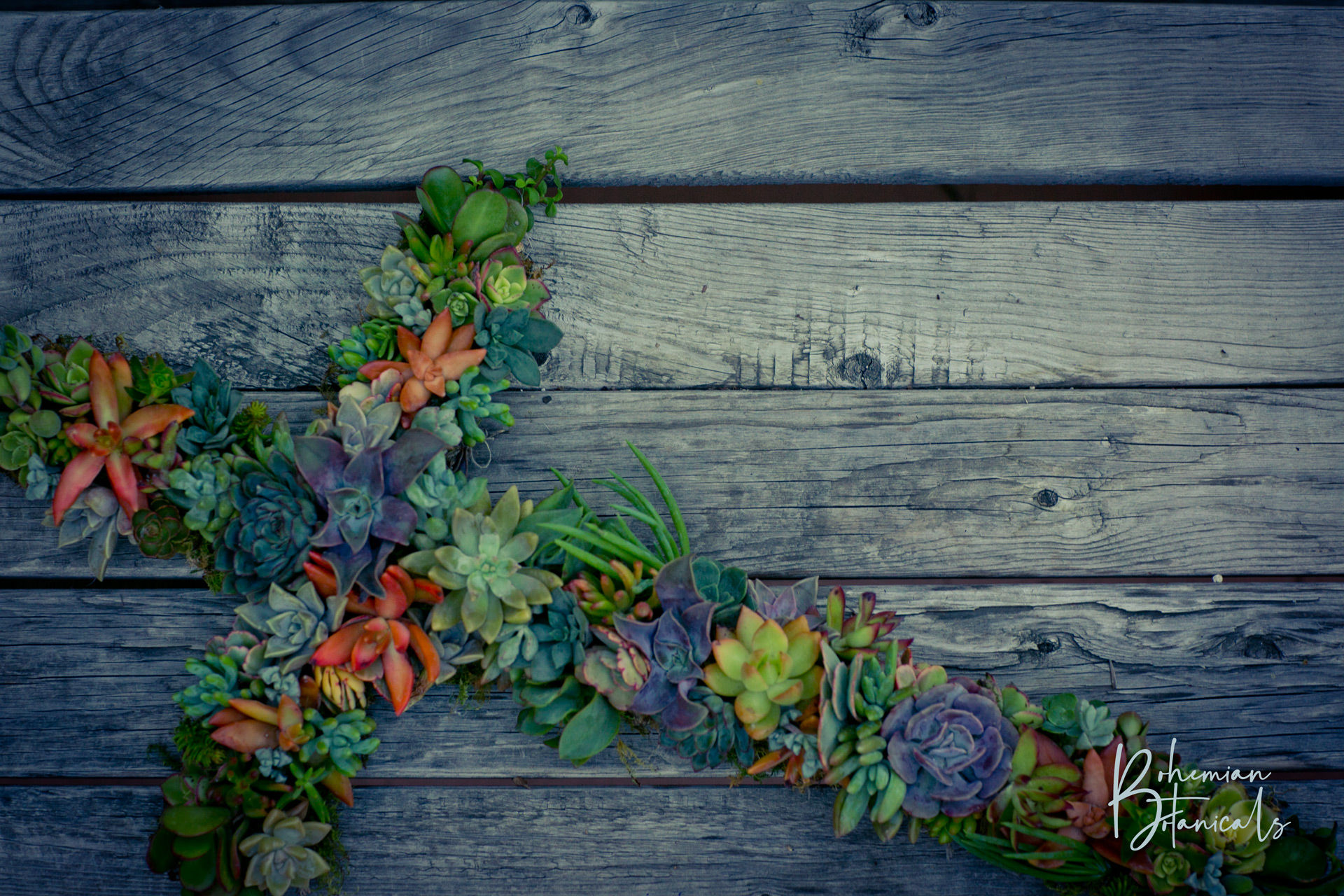 Live Succulent Cross Wreath