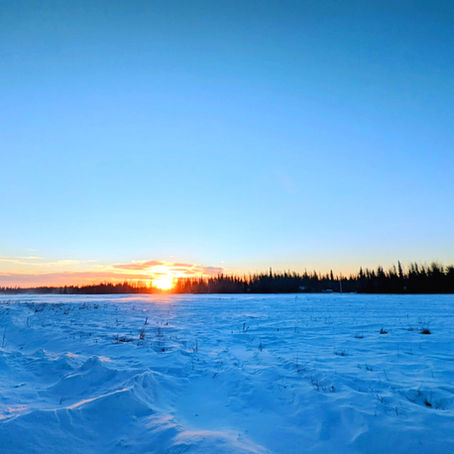 The Shortest Day, The Longest Night, & The Returning of Light