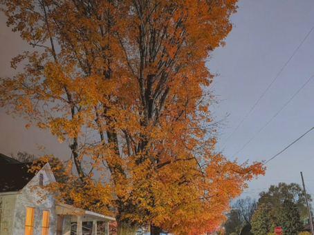 Scrolling Through Time: The Fractured Clock of Modern Life