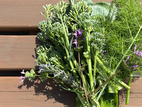 ２０２６年３月１日