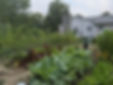 garden.jpg