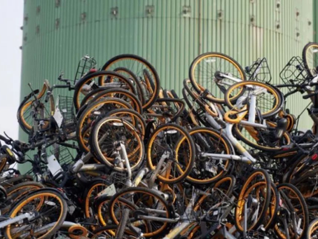 One Person’s Trash May Be Another Person’s Treasure