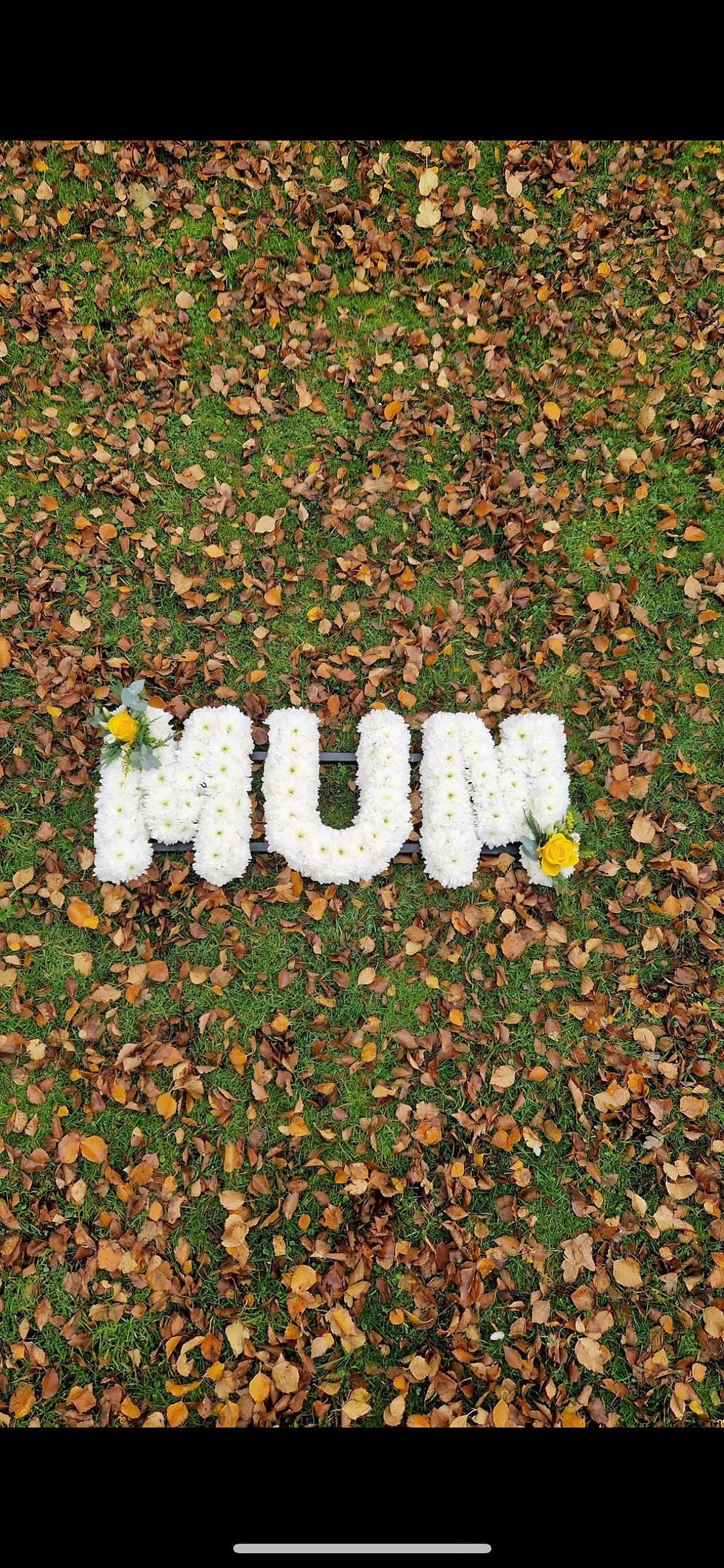 Thumbnail: Massed Letters 