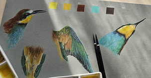 WEBSITE BANNER.jpg
