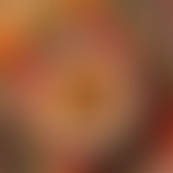 Congee: The Ultimate Winter Comfort Food