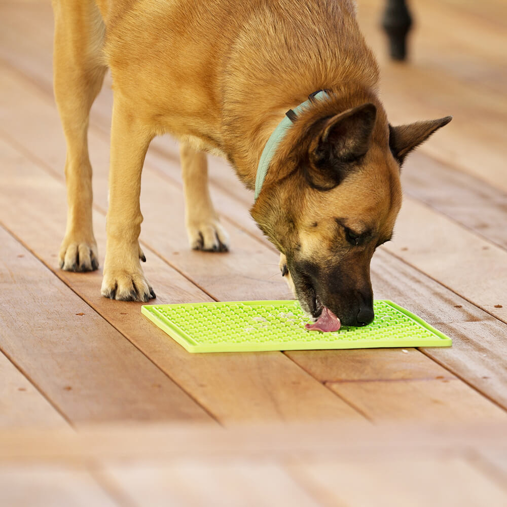 Dog licking food off a lick mat