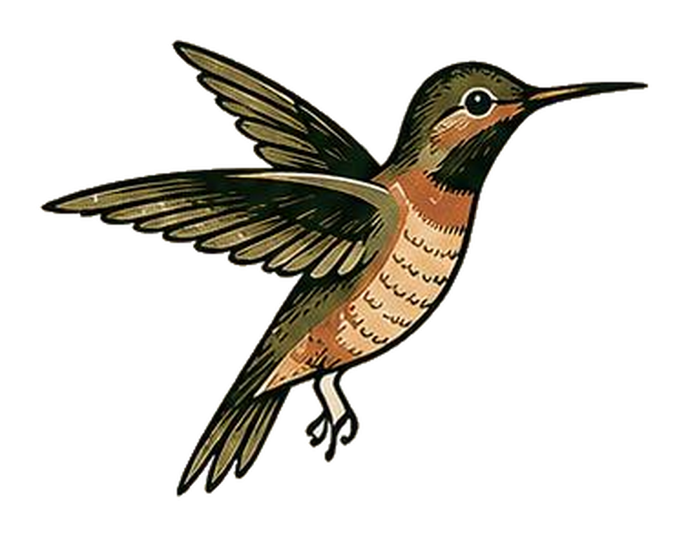 02_hummingbird_left.png