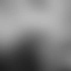 "Bill" è tornato sui monti