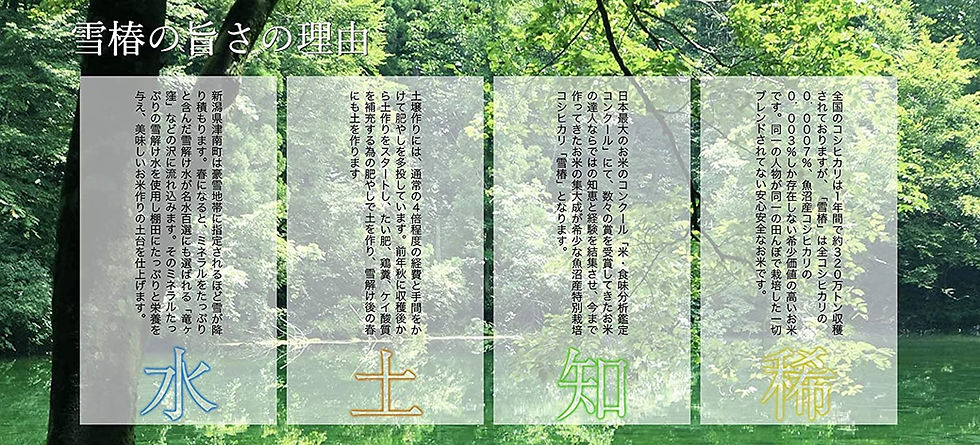 Thumbnail: Yuki Tsubaki Koshihikari White Rice, 魚沼産こしひかり特別栽培米 雪椿